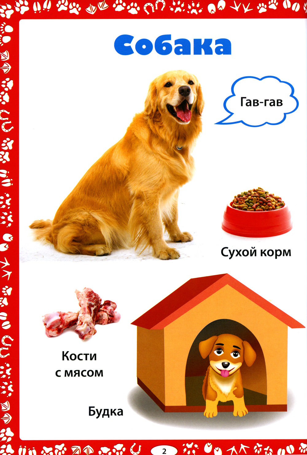 Животные и их детеныши; Животные. Как говорят, что едят и где живут (комплект из 2-х книг)