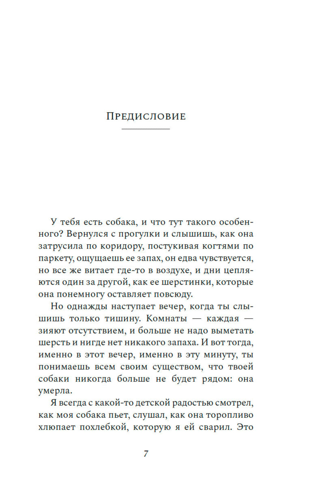 Его запах после дождя: роман