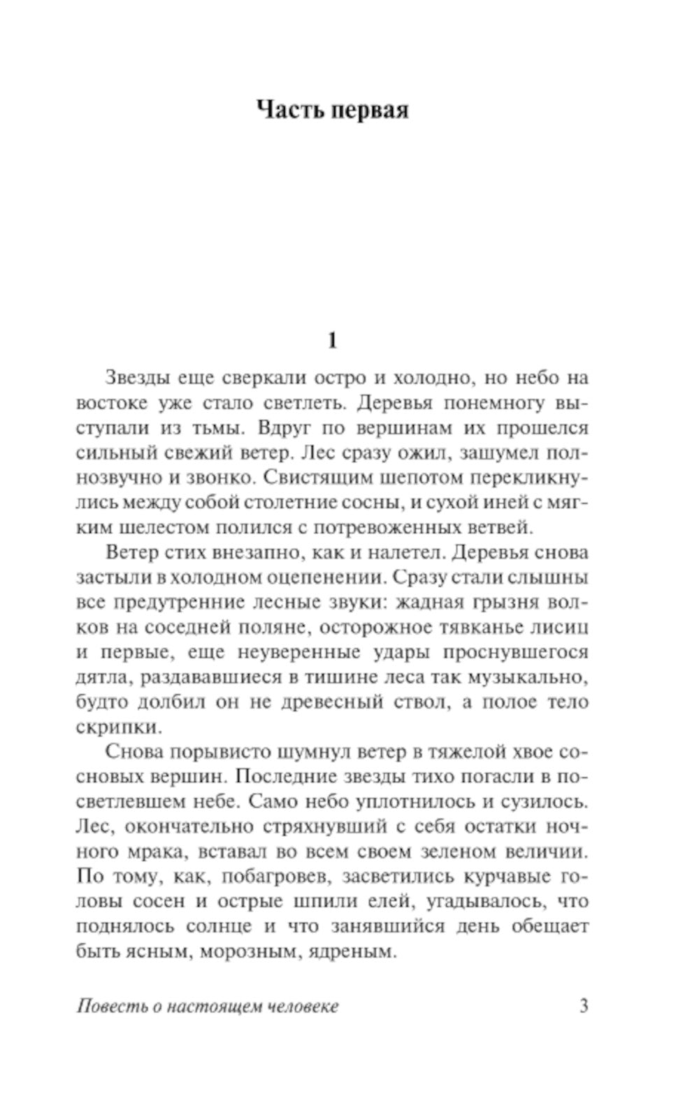 Повесть о настоящем человеке: роман
