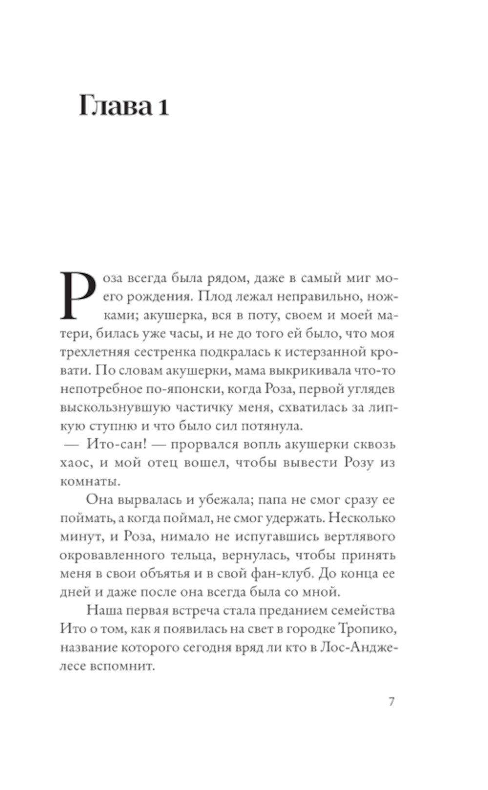 Кларк и Дивижн: роман