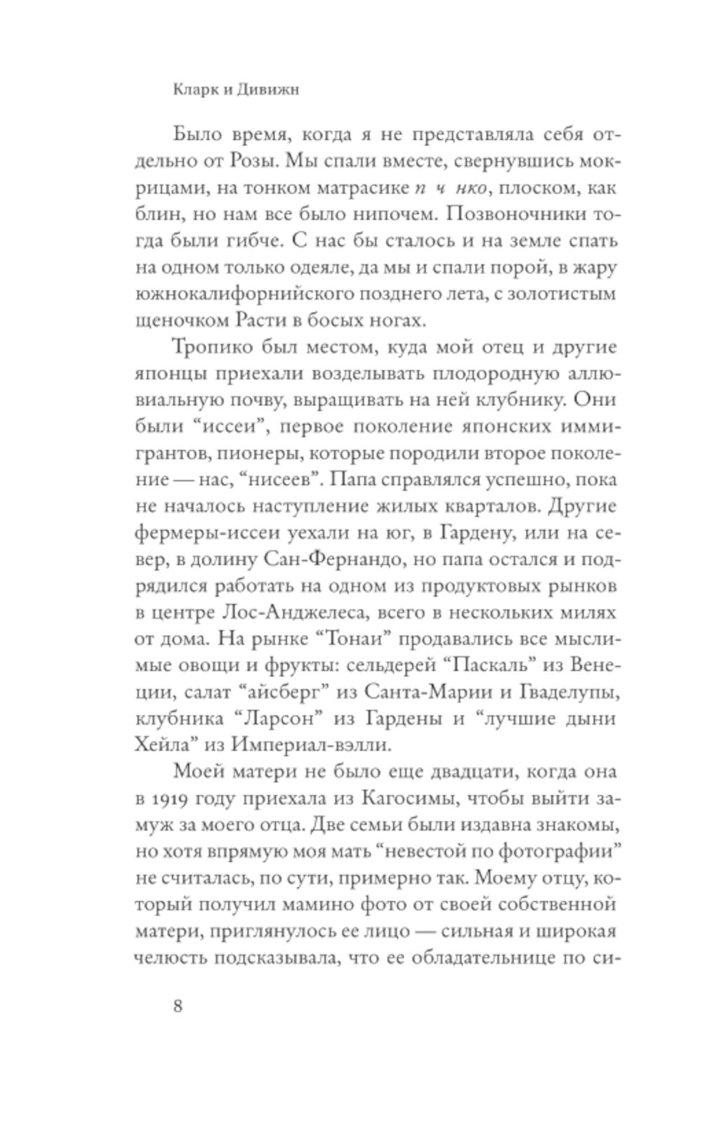 Кларк и Дивижн: роман