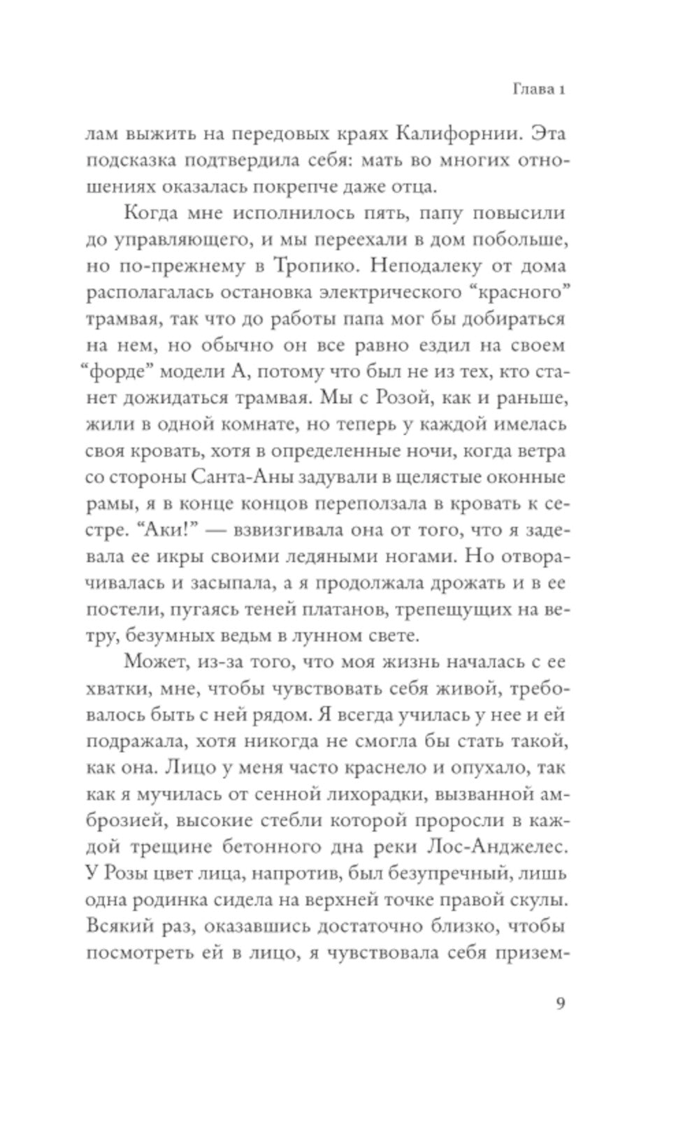 Кларк и Дивижн: роман