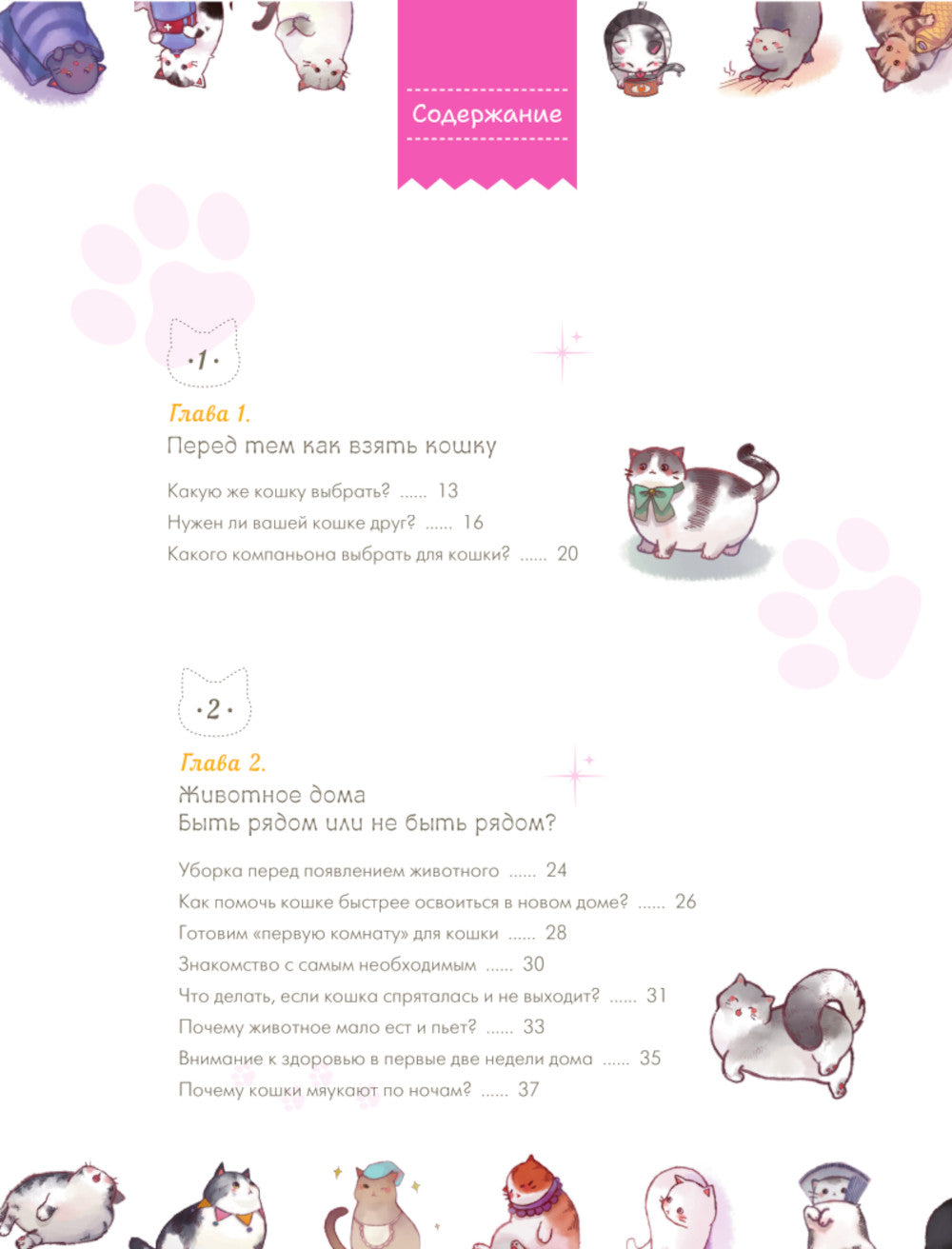 Твой котик: магия ухода. Все о том, как всегда понимать кошку и завести крепкую дружбу на всю жизнь