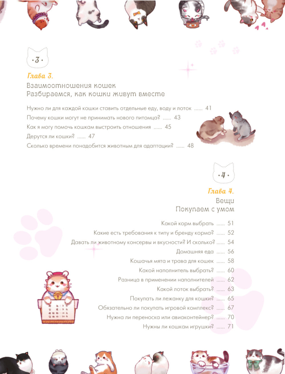 Твой котик: магия ухода. Все о том, как всегда понимать кошку и завести крепкую дружбу на всю жизнь