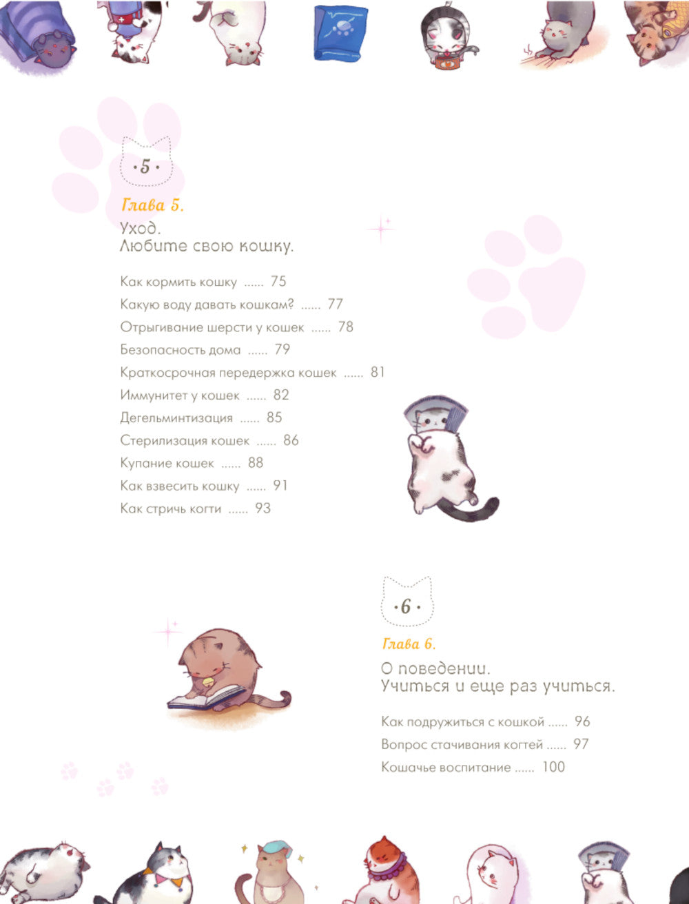 Твой котик: магия ухода. Все о том, как всегда понимать кошку и завести крепкую дружбу на всю жизнь