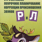 Эффективное поурочное планирование коррекции произношения звуков Р и Л на лексическом материале