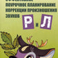 Эффективное поурочное планирование коррекции произношения звуков Р и Л на лексическом материале