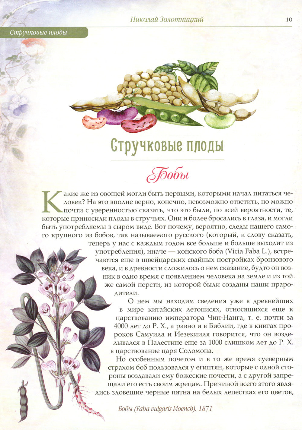 Русский сад и огород. Занимательная история плодов и овощей