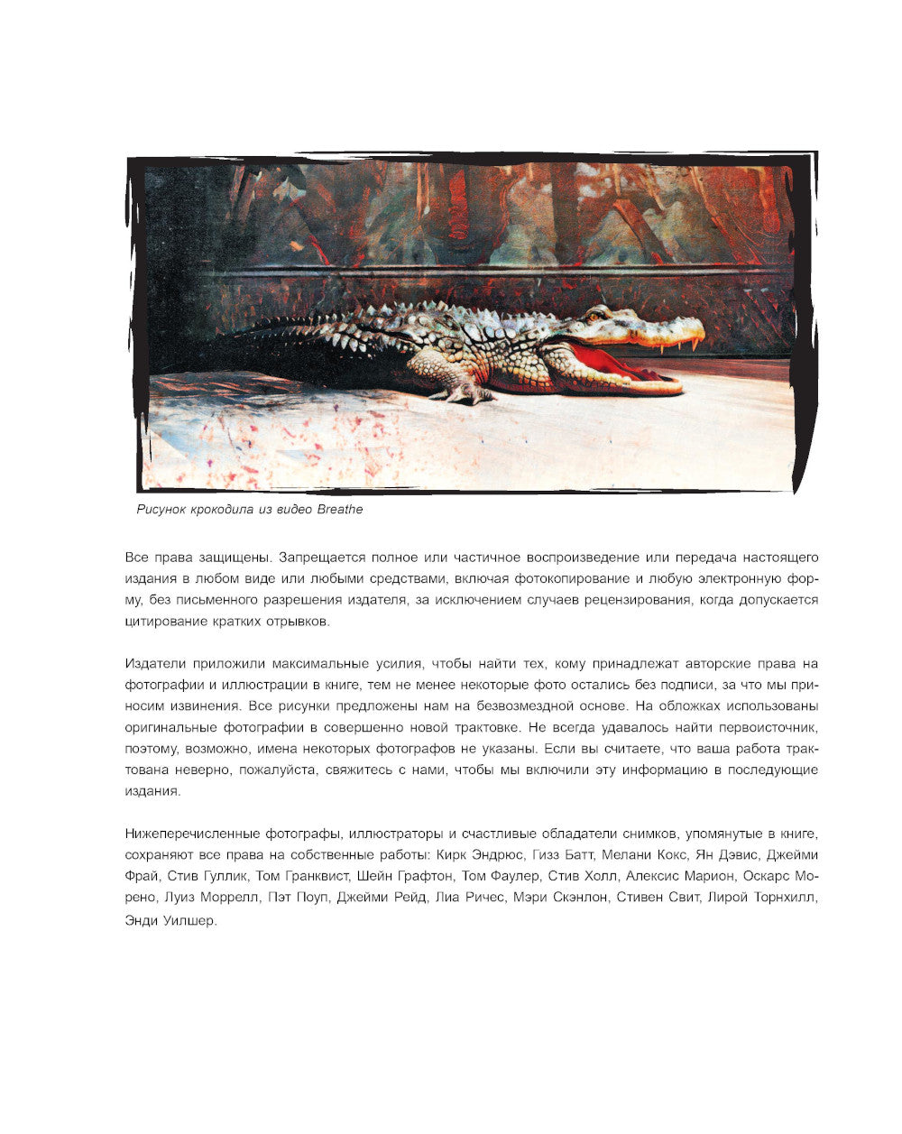 Вундеркинд. Мы живем ритмом. История группы из первых уст