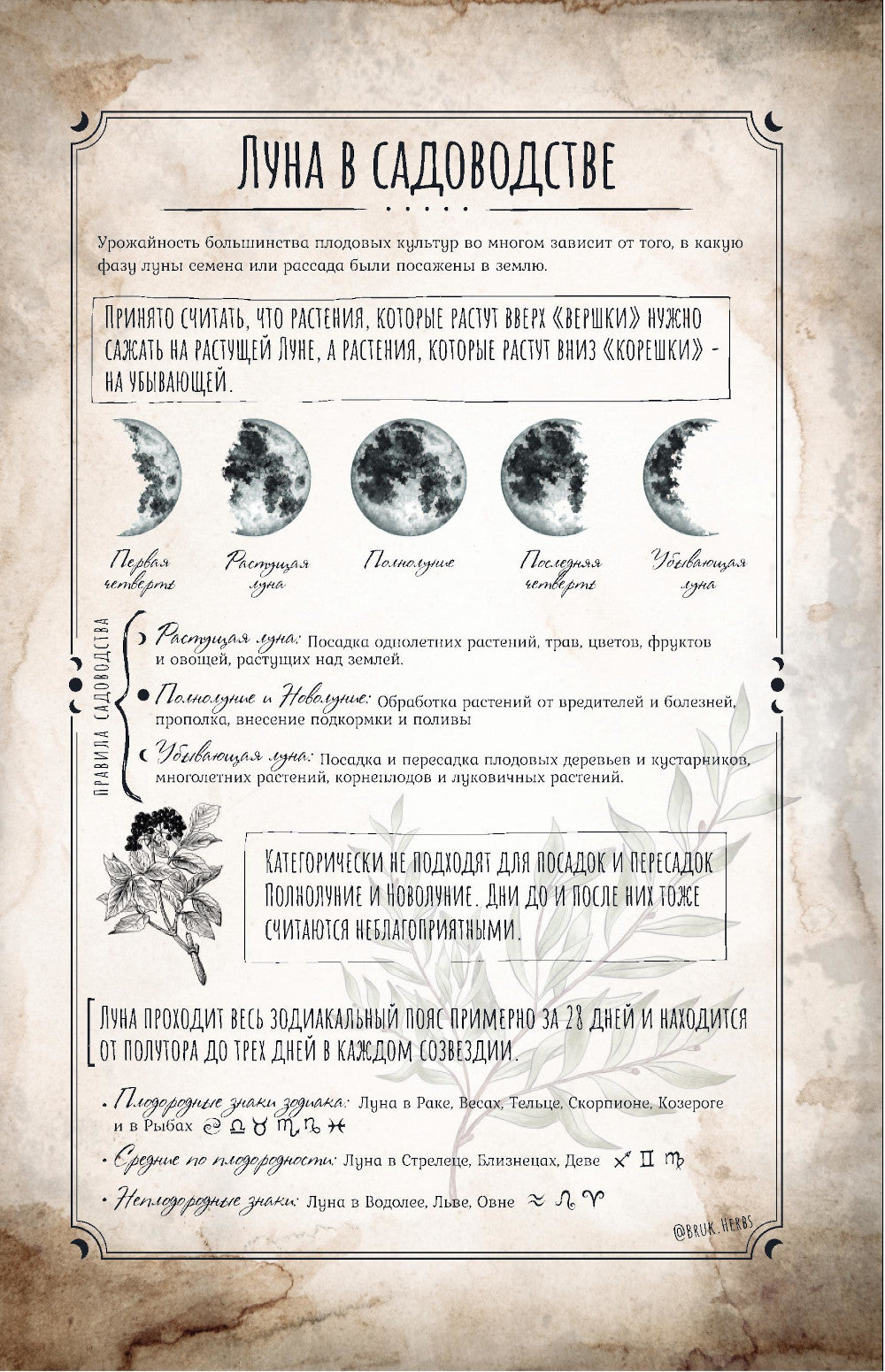 Магия садоводства: дневник наблюдений, шпаргалки и лунный календарь для создания волшебного сада