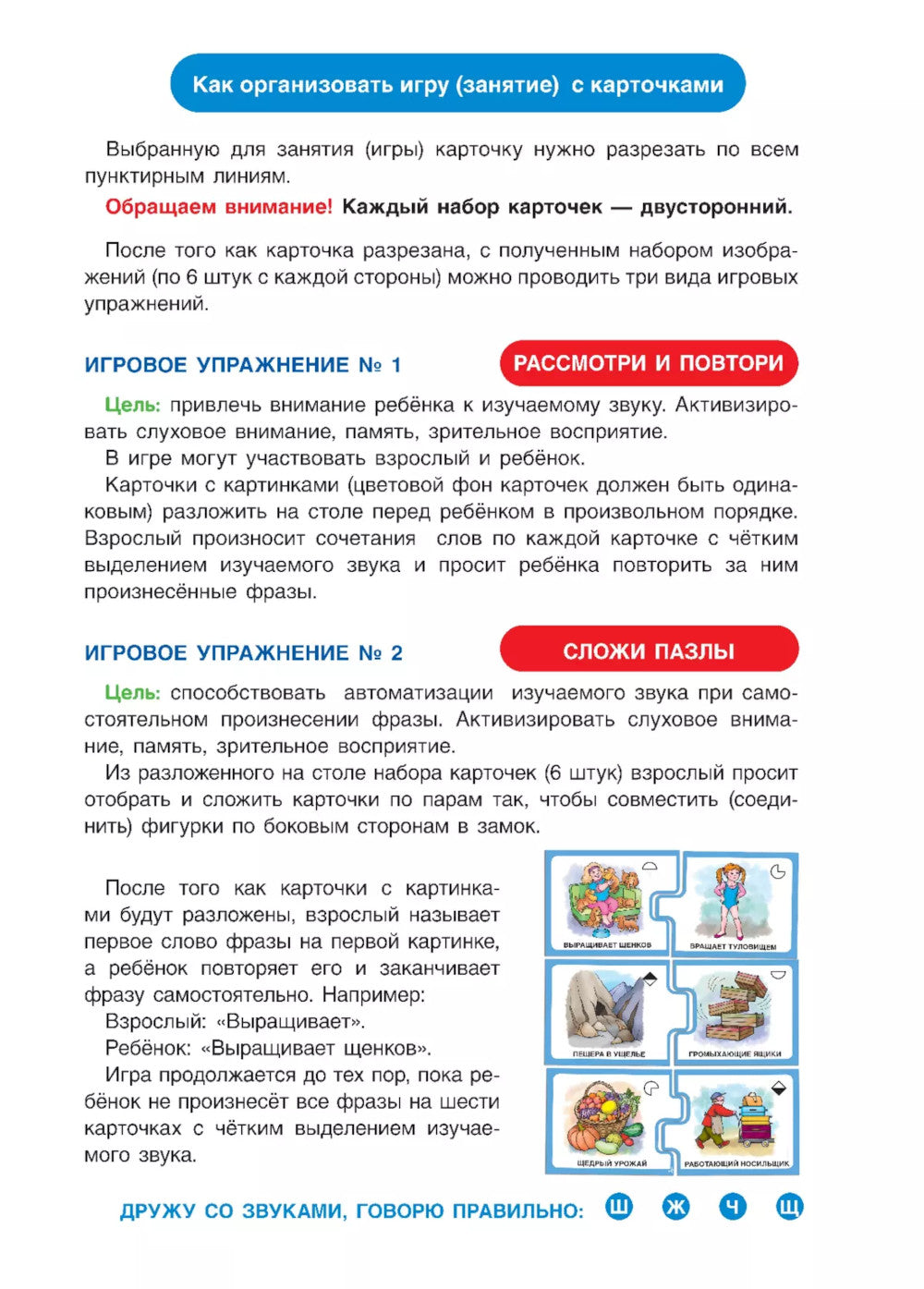 Дружу со звуками говорю правильно! Ш Ж Щ Ч : ensemble de logos de jeux de cartes pour les automatismes des travailleurs de la société (192 cartes)