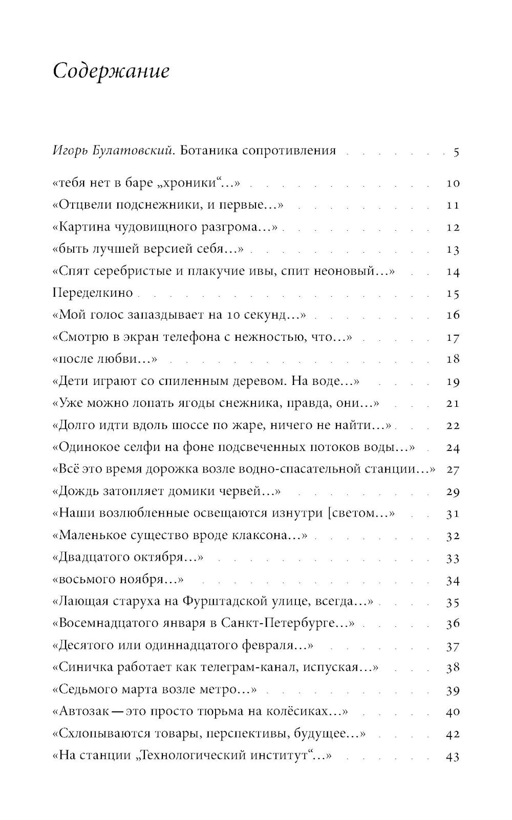 Татуировка в виде косули: стихи 2021–2024