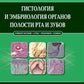Гистология и эмбриология органов полости рта и зубов: Учебное пособие
