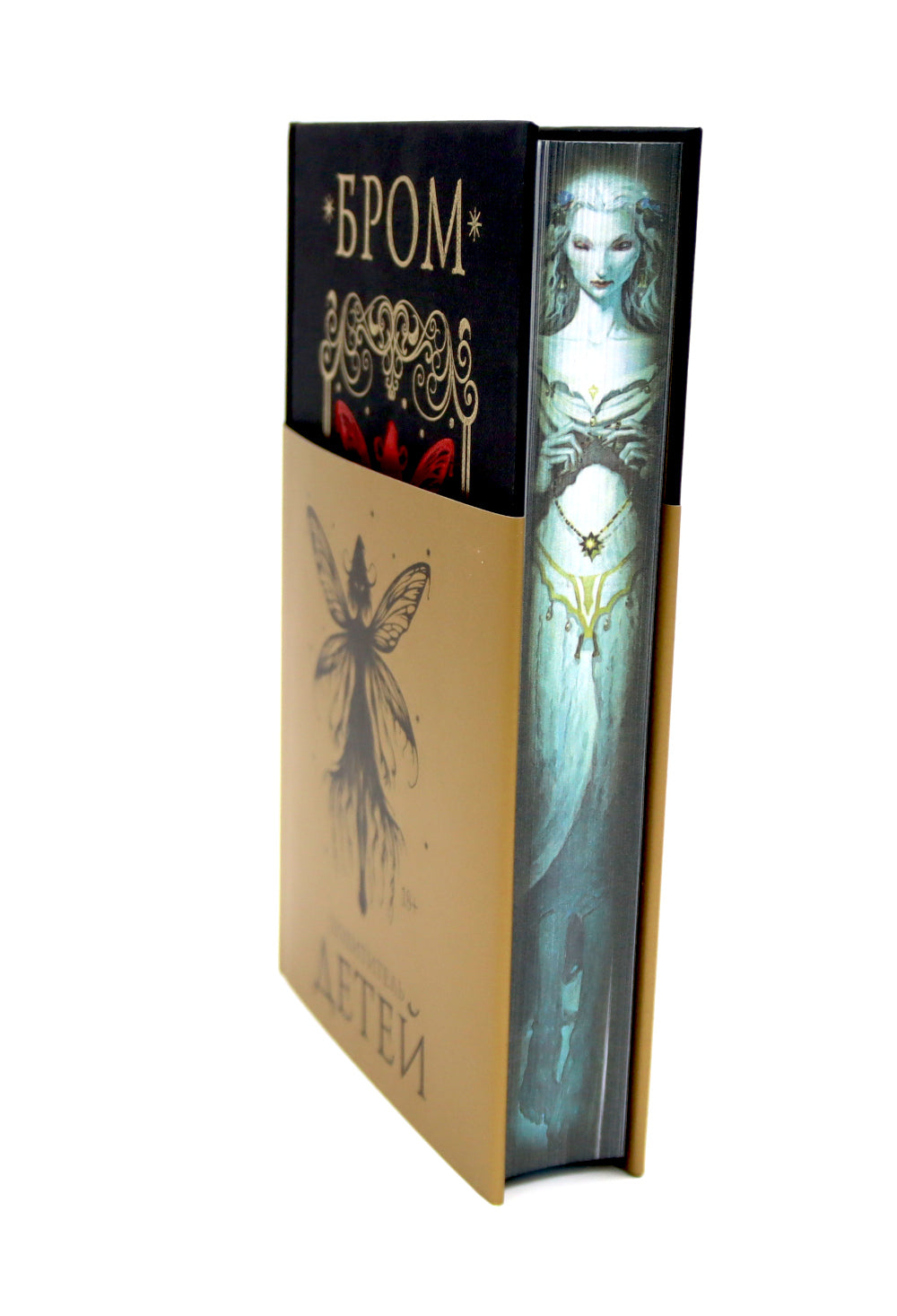 Похититель детей: роман