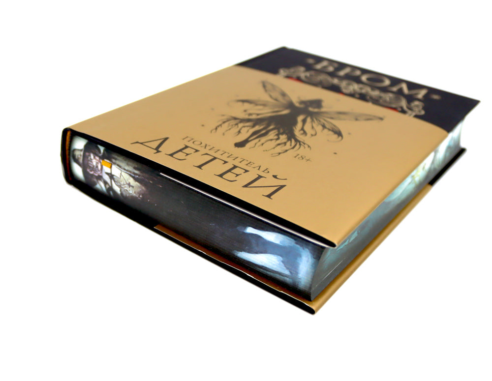 Похититель детей: роман