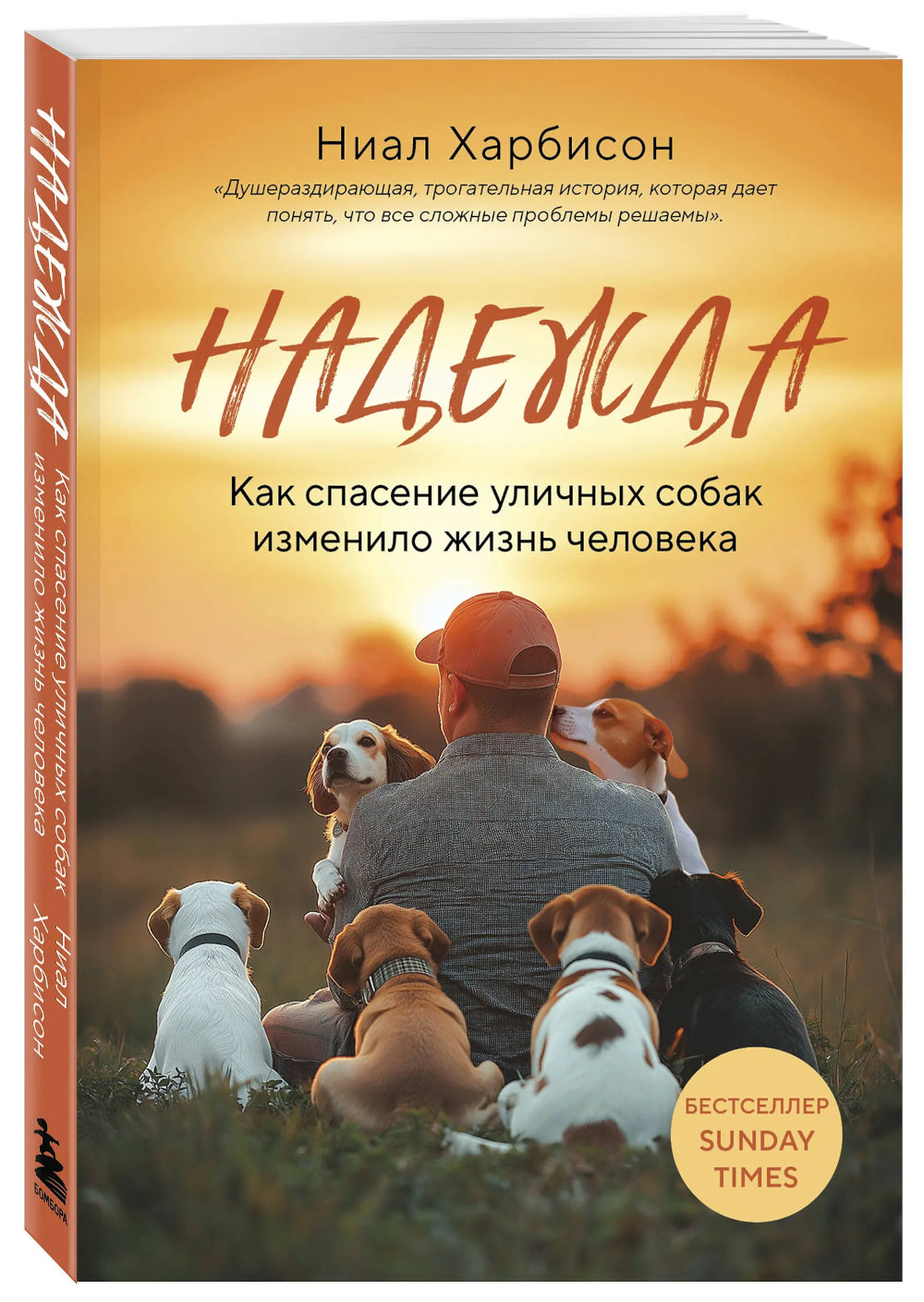 Надежда. Как спасение уличных собак изменило жизнь человека