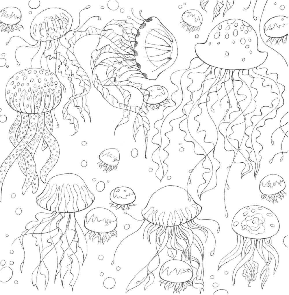 В объятиях природы: раскрашиваем обаятельные иллюстрации животных и птиц.