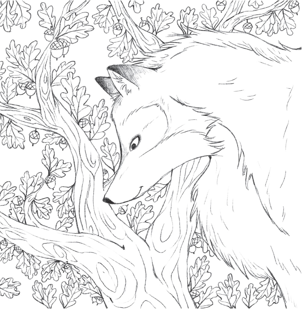 В объятиях природы: раскрашиваем обаятельные иллюстрации животных и птиц.