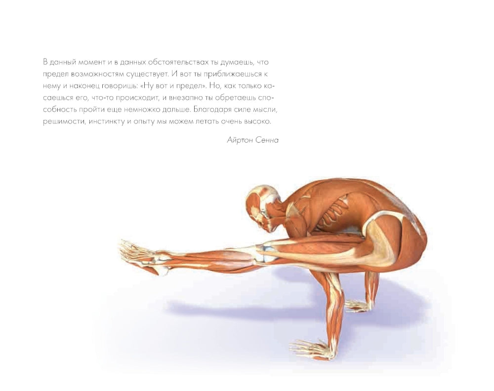 Ключевые позы йоги: Руководство по функциональной анатомии йоги