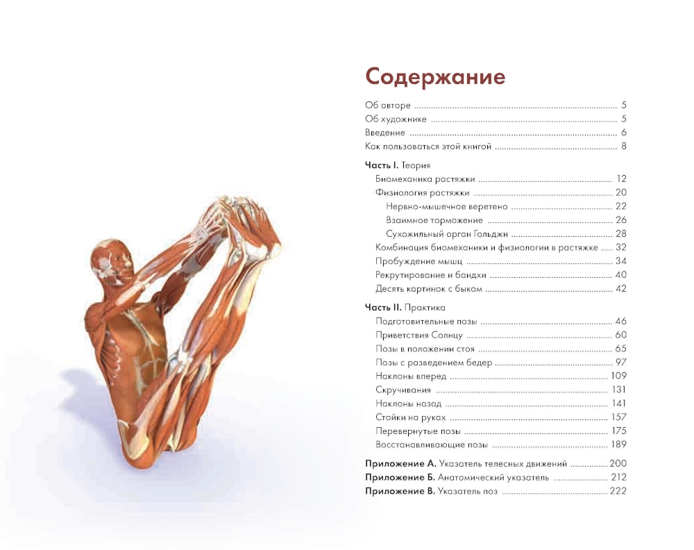 Ключевые позы йоги: Руководство по функциональной анатомии йоги