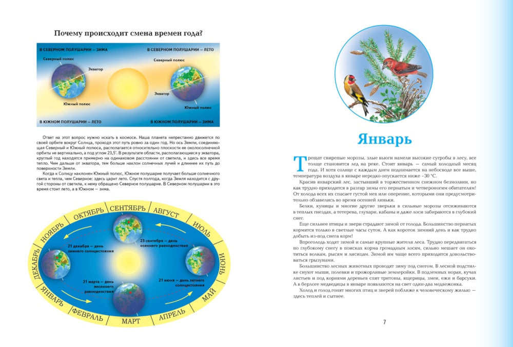 Времена года. Иллюстрированная энциклопедия