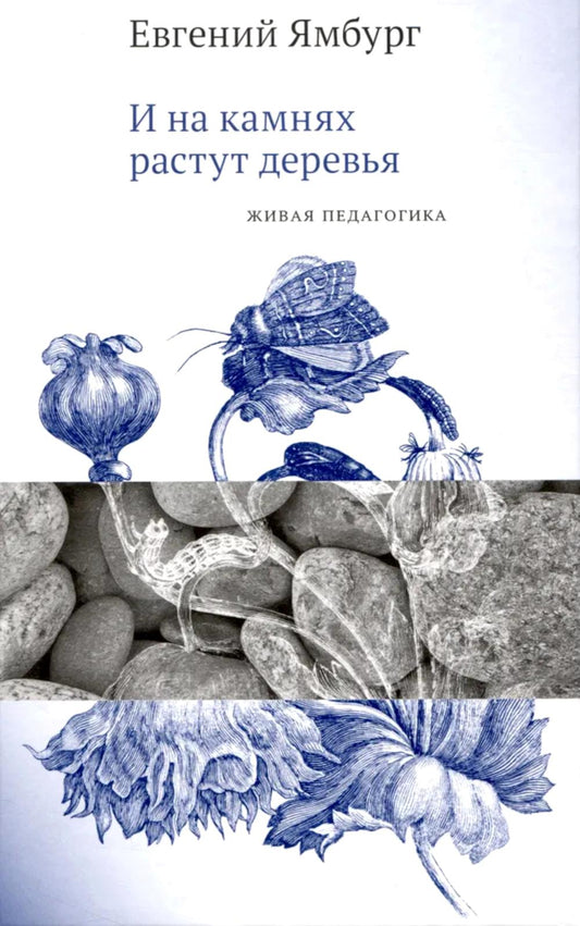 И на камнях показаны деревья. Живая педагогика