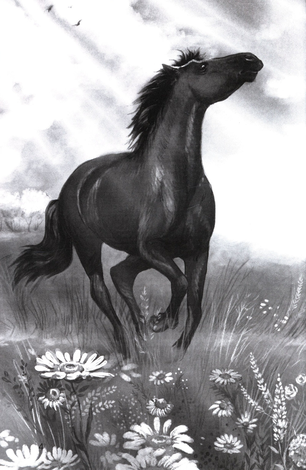 Галопом навстречу. 3-е изд.