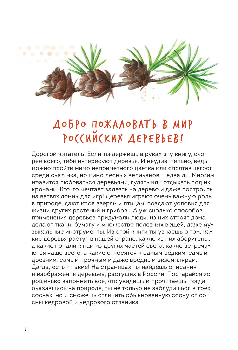 Деревья. Атлас-определитель