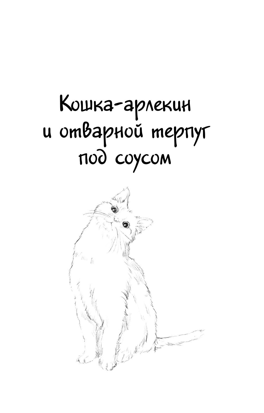 Котенок и кафе на краю океана