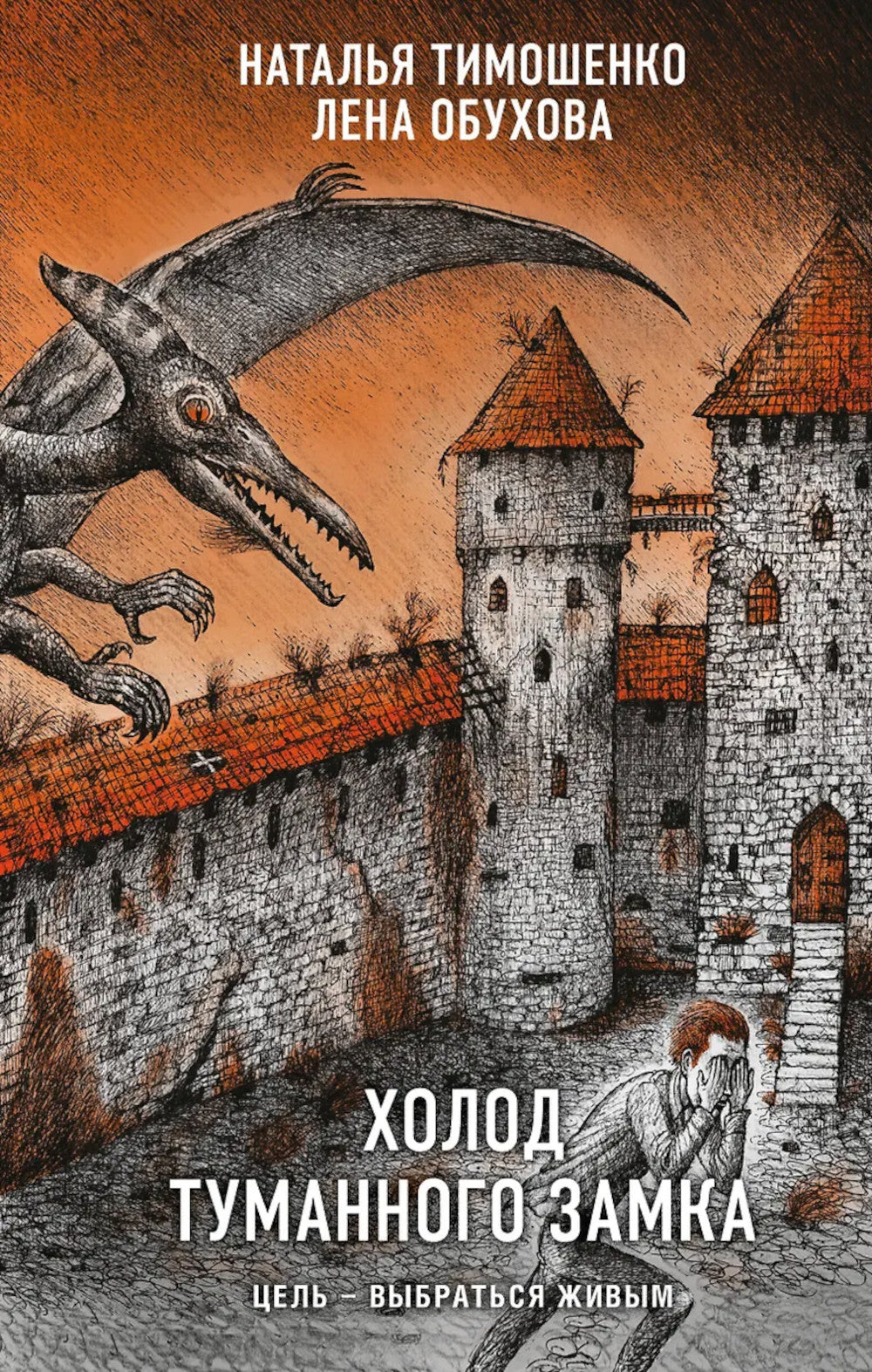 Холодный туманный замок