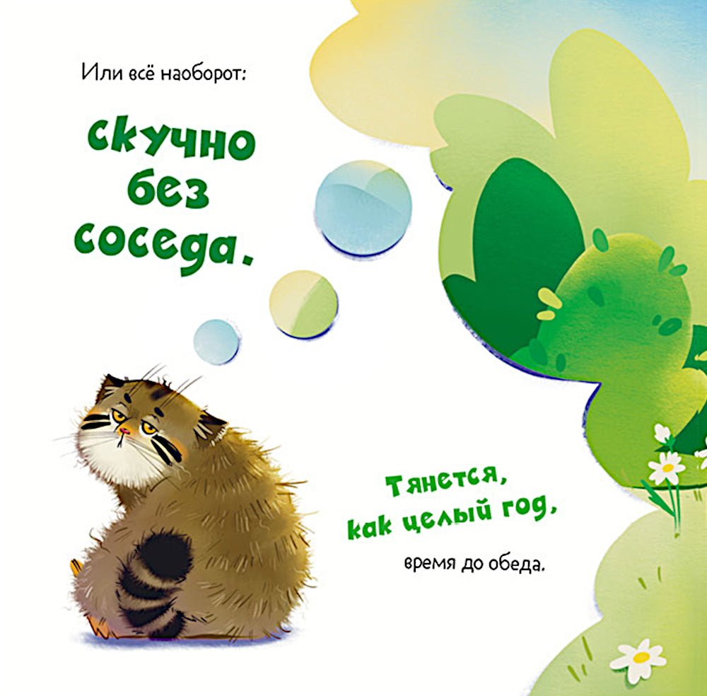 Почему сердит манул?