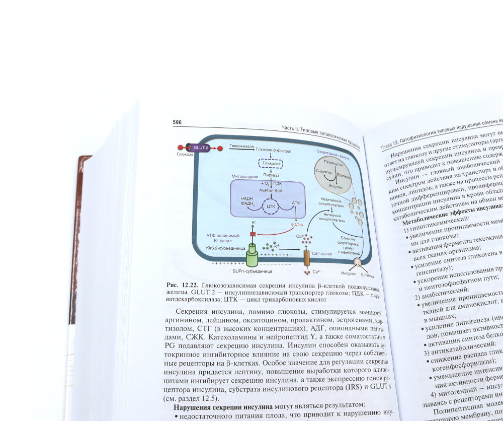 Патофизиология: Учебник. 2 т. Т. 1. 5-е изд., перераб. je suis d'accord