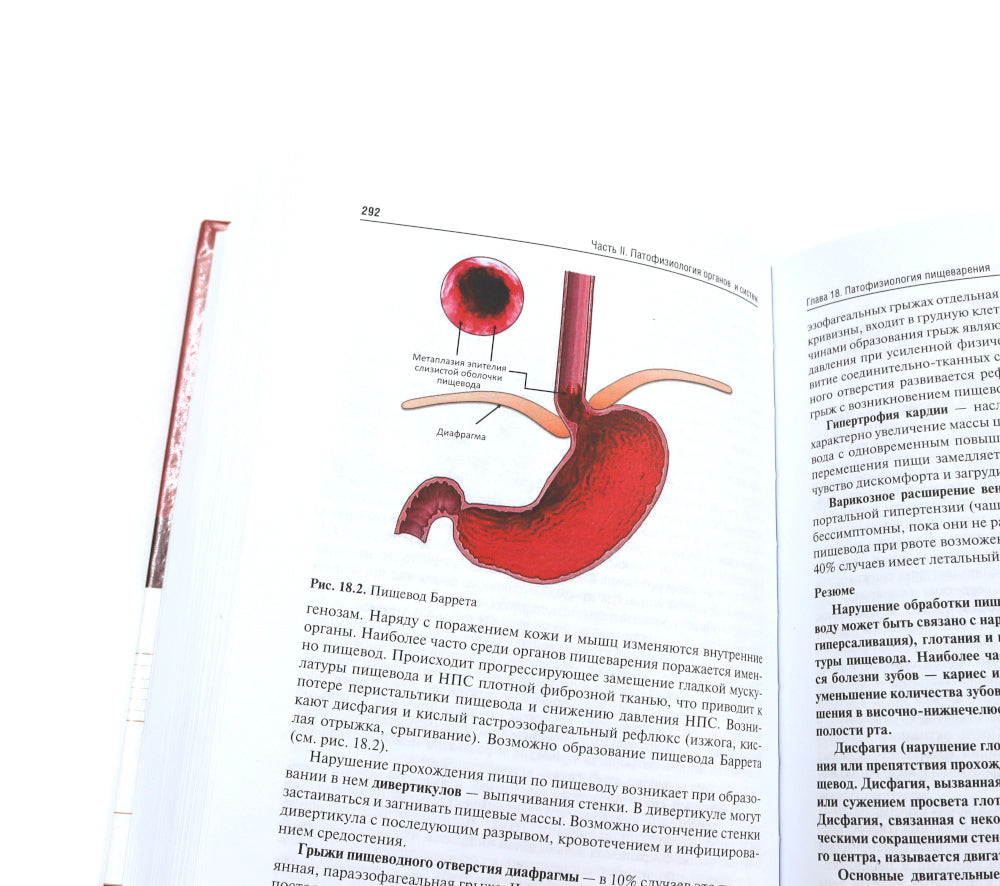 Патофизиология: Учебник. 2 т. Т. 2. 5-е изд., перераб. je suis d'accord