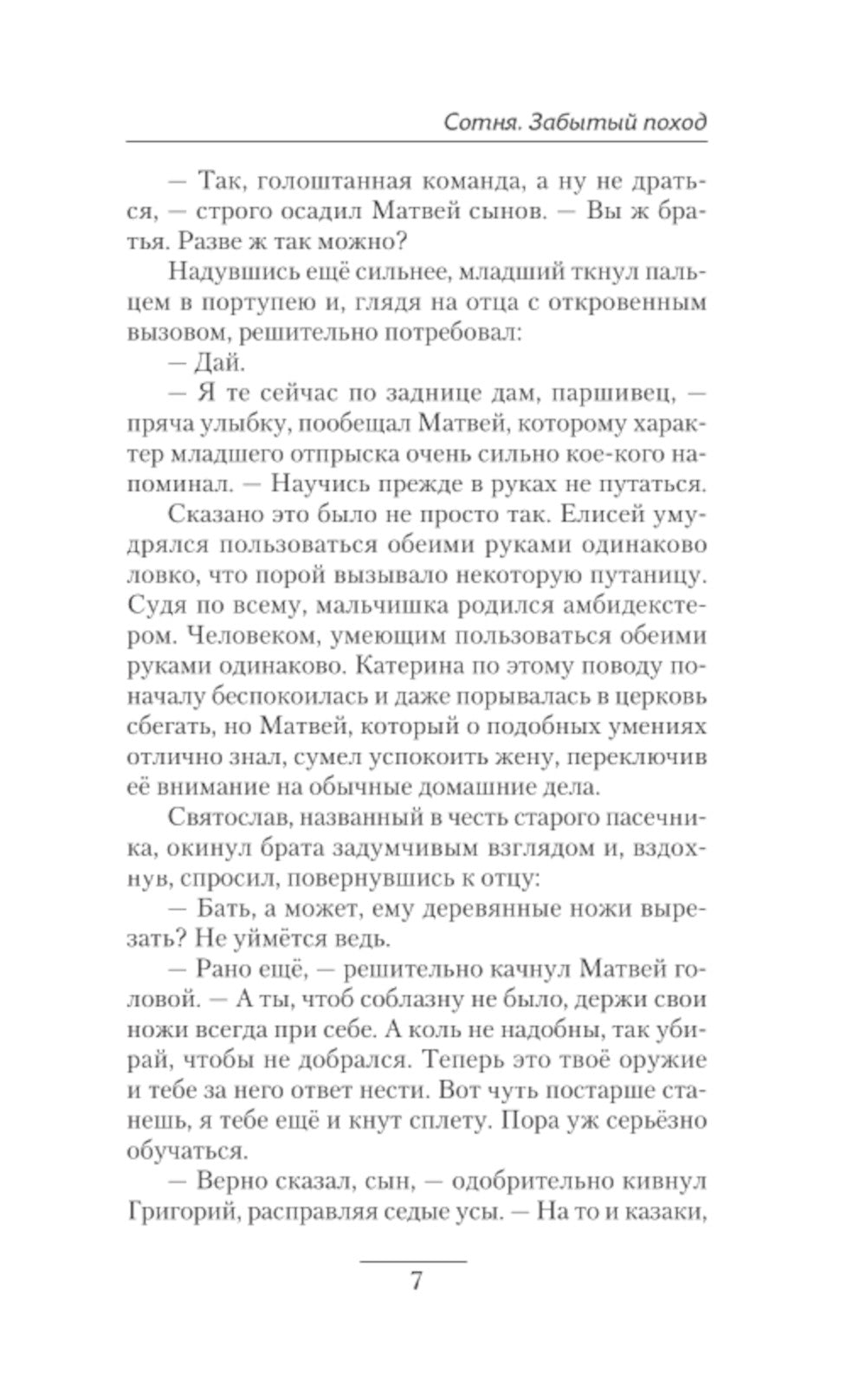 Сотня. Забытый поход: роман