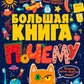 Большая книга почему