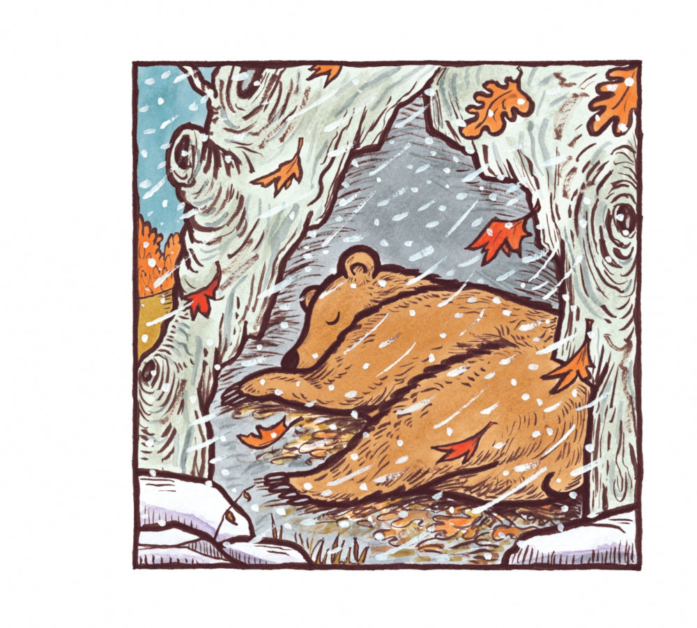 Большой медведь