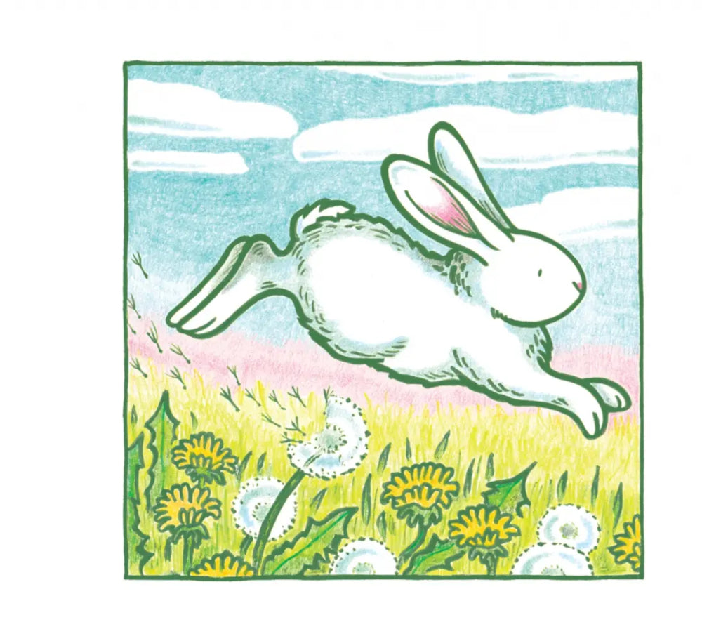 Маленький белый кролик