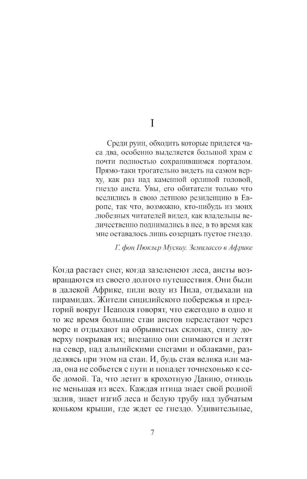 Всего лишь скрипач: роман