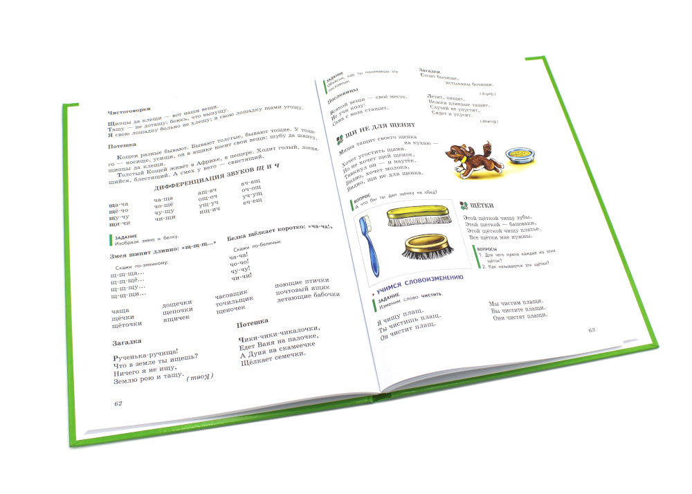 Логопедия. Основы теории и практики; Уроки логопеда. Исправление нарушений речи (комплект из 2-х книг)