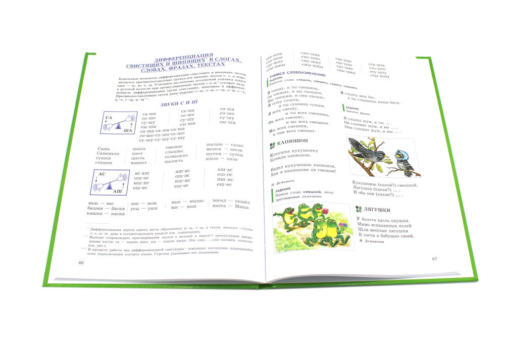 Логопедия. Основы теории и практики; Уроки логопеда. Исправление нарушений речи (комплект из 2-х книг)