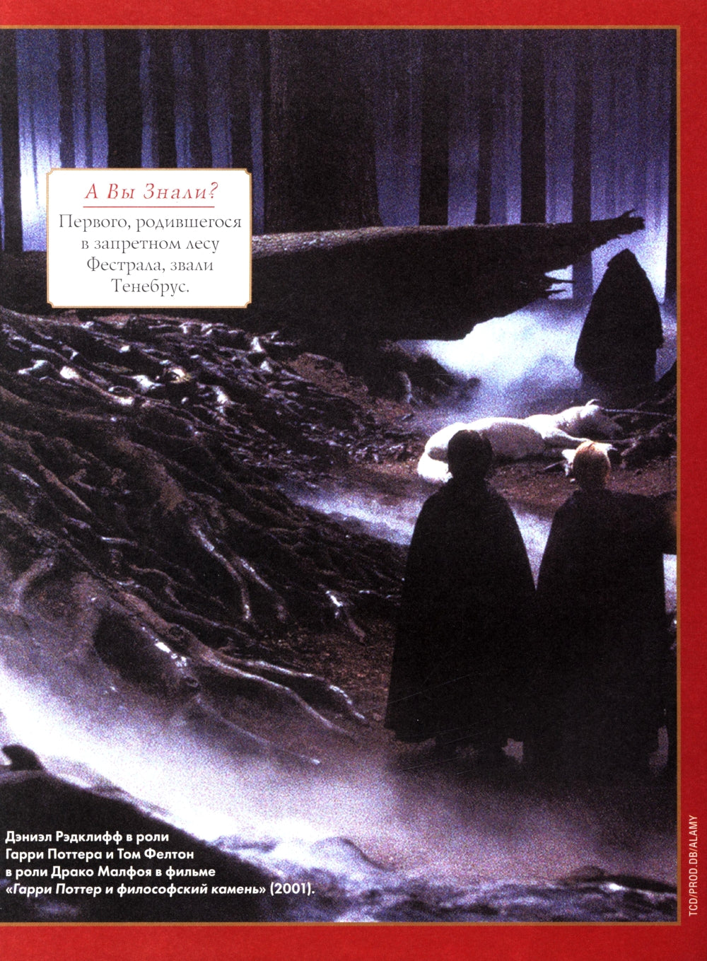 Лучшие головоломки по волшебному миру Гарри Поттера