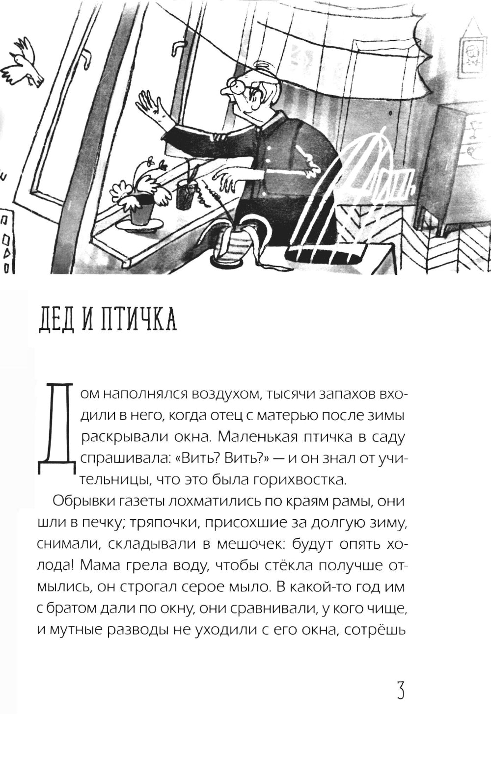 Наблюдатели