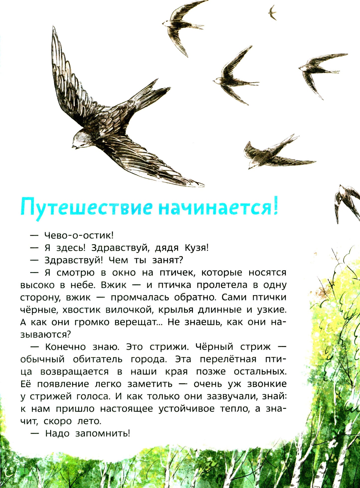 Птицы. Детская энциклопедия