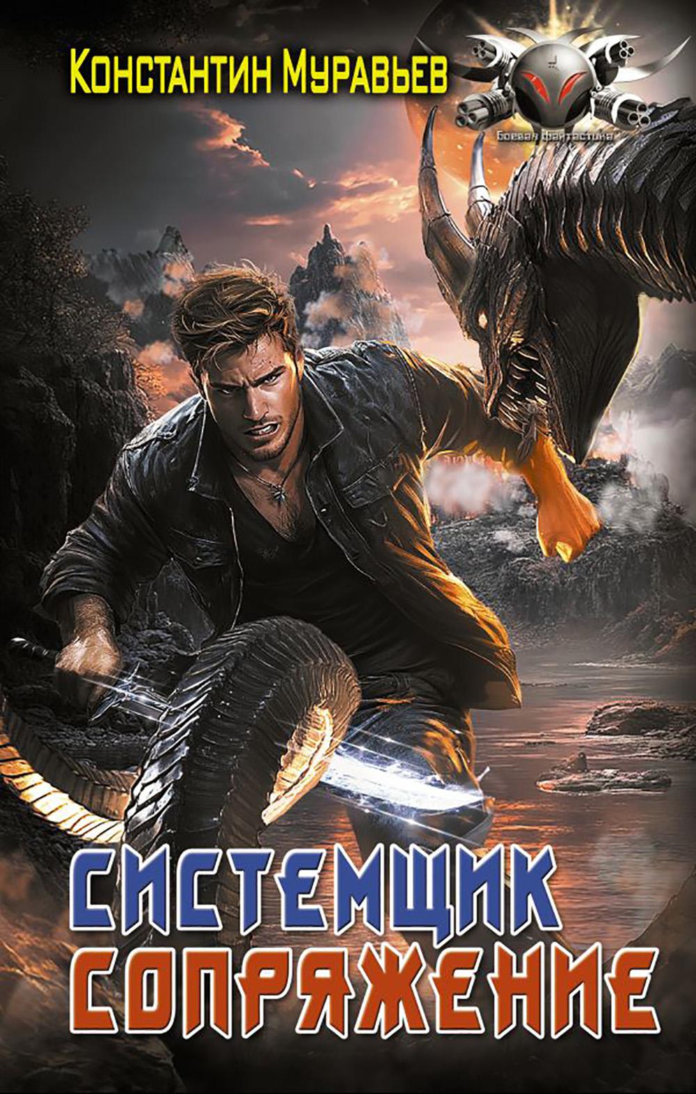 Системщик. Сопряжение: роман