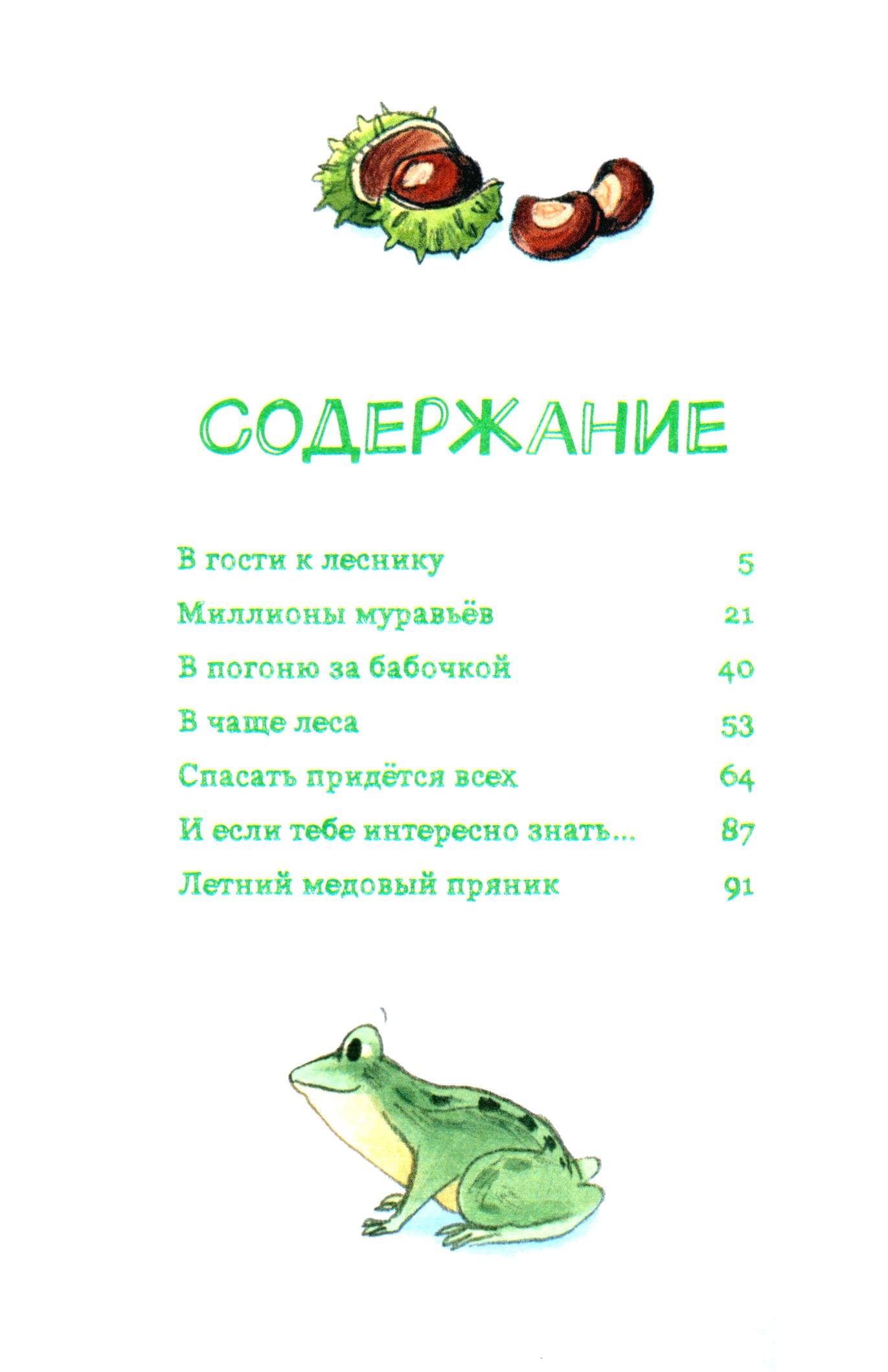 Лесные герои. Куда ведут бабочки #2