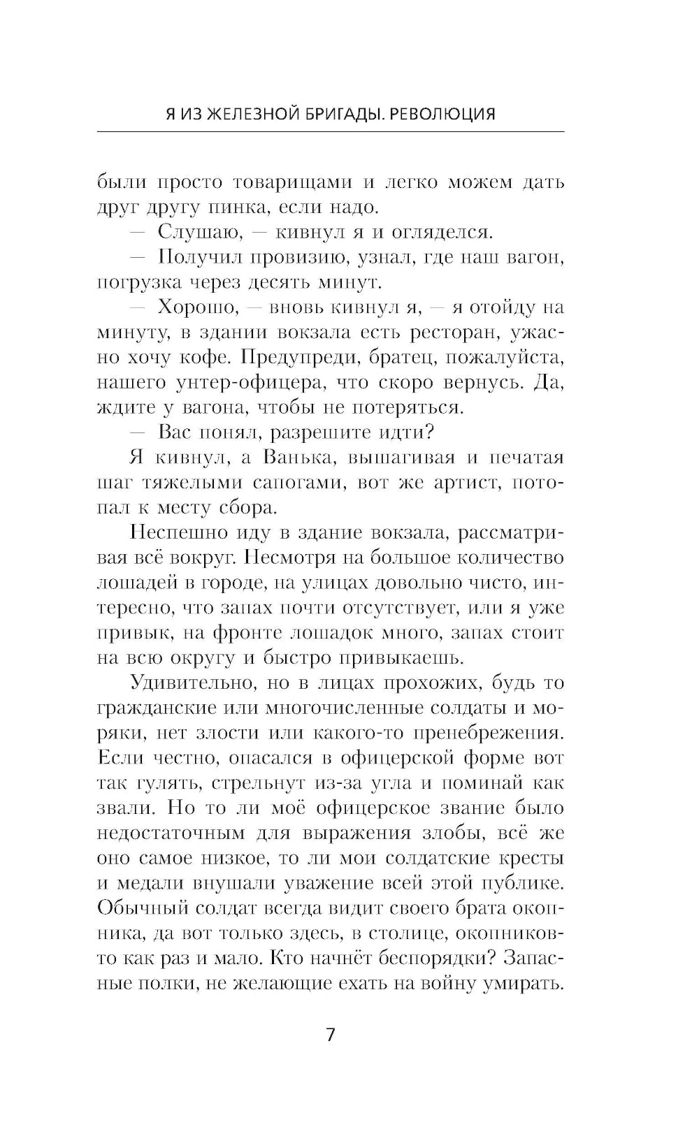 Я из Железной бригады. Революция: роман