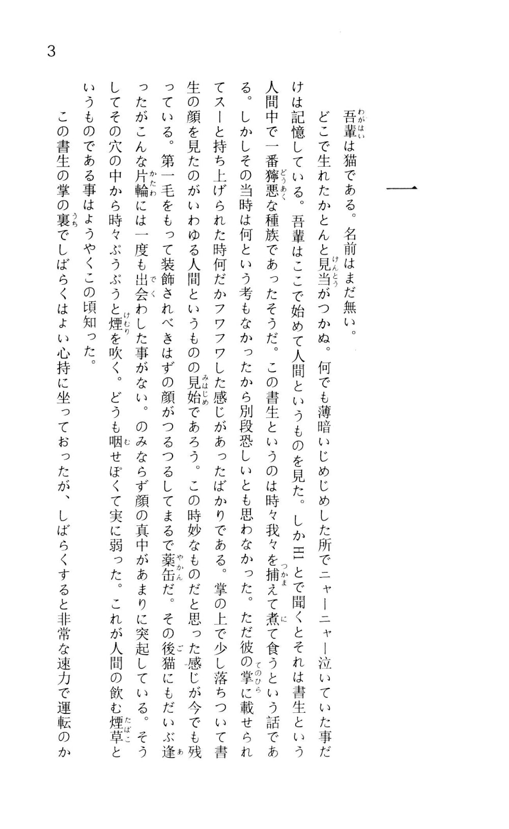 Wagahai wa neko de aru = Ваш рабский кот-слуга (обл.)