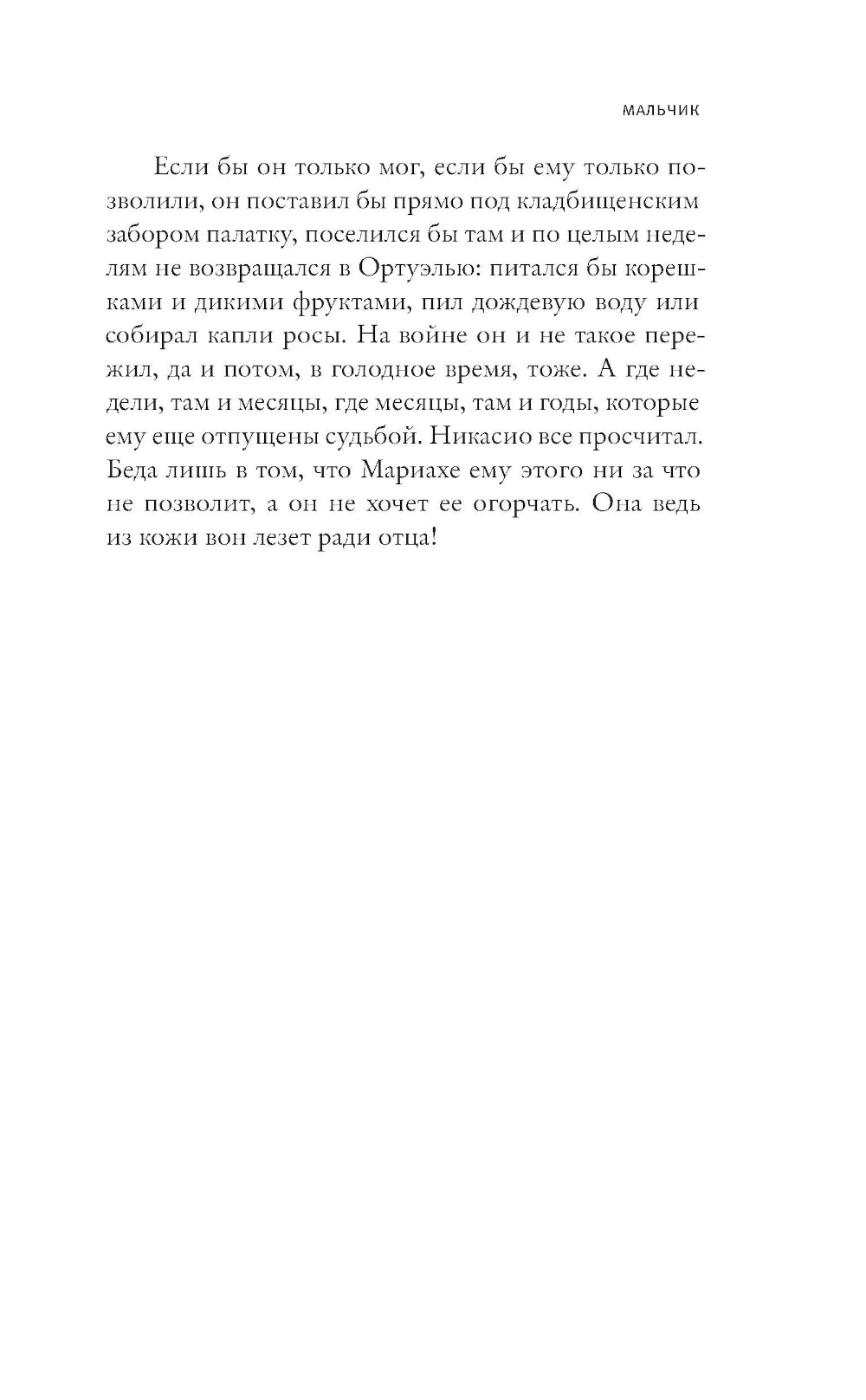 Мальчик: роман