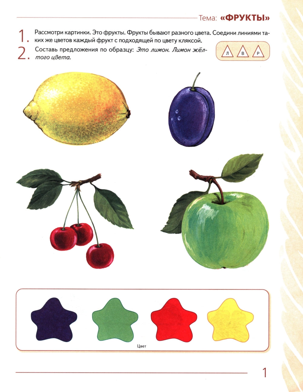 Развиваем связную речь у детей 4-5 лет с ОНР. Альбом 1. Мир растений