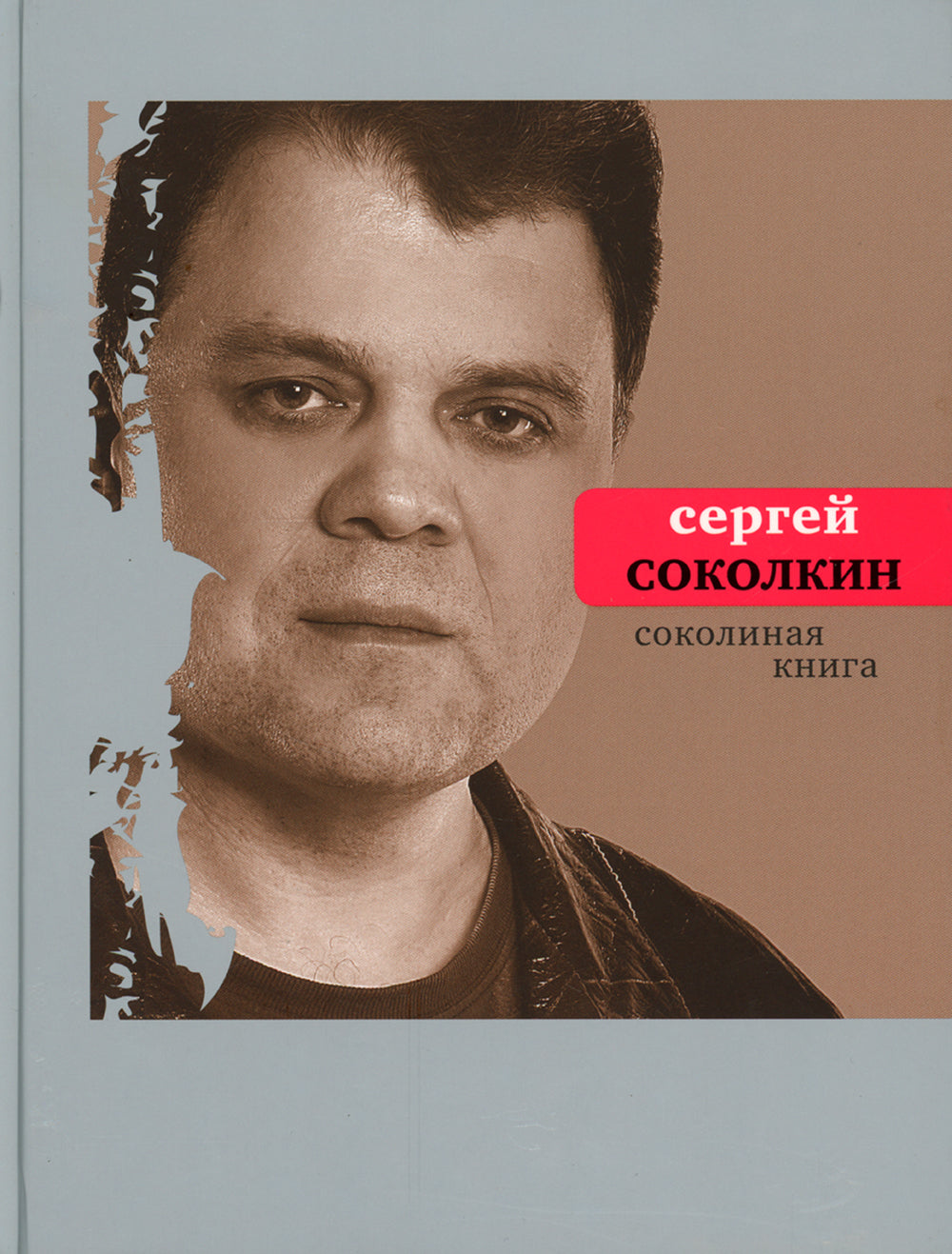 Соколиная книга: стихи, тексты песен, статьи о поэтах